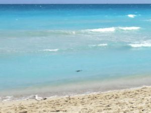 stranden