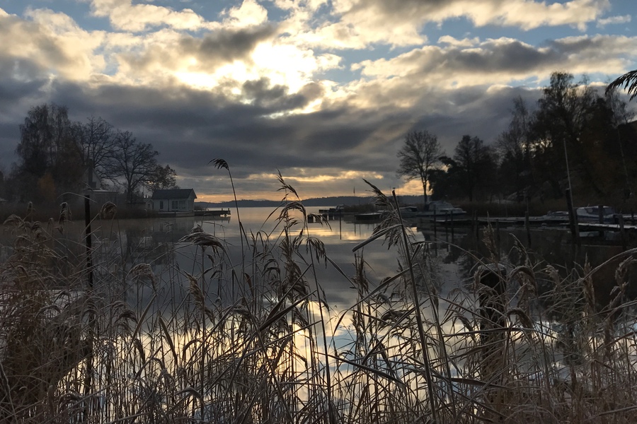 Frostigt morgonmöte