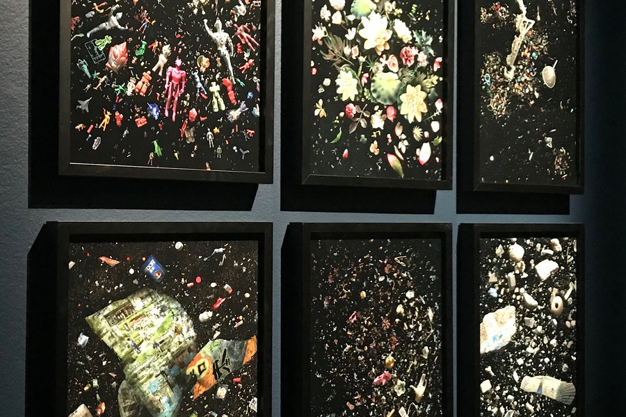 Några av Mandy Barkers bilder där hon har gjort konstverk av plast.