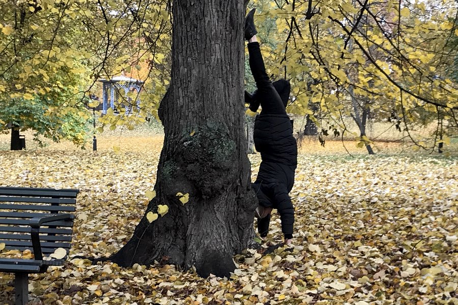 En höstdag i Stockholm